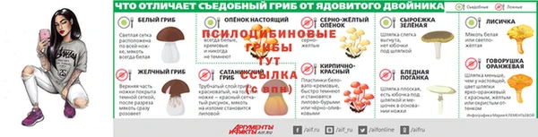 MESCALINE Козельск