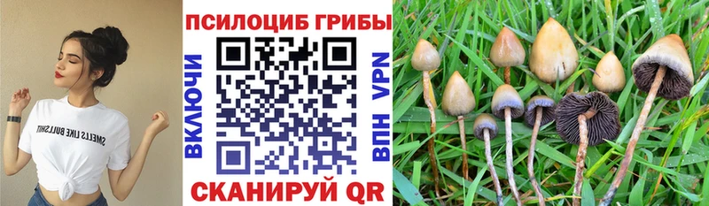наркотики  Реж  Галлюциногенные грибы GOLDEN TEACHER 